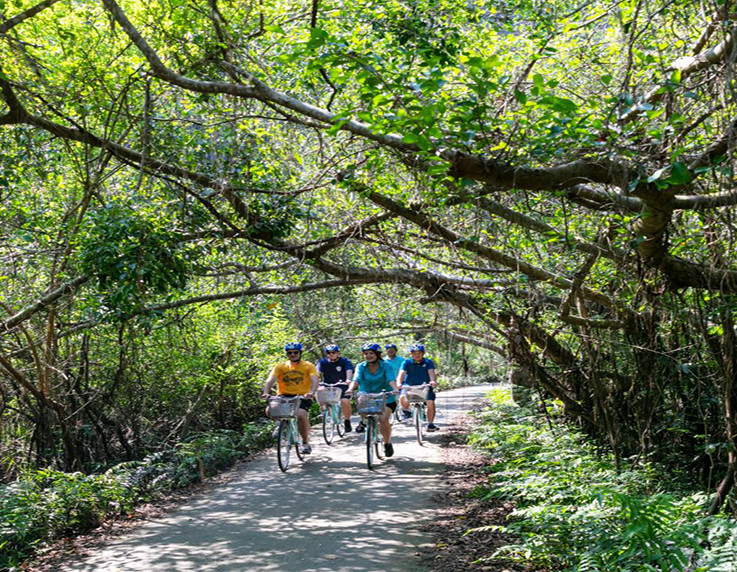 Doria Cruise Halong Bay