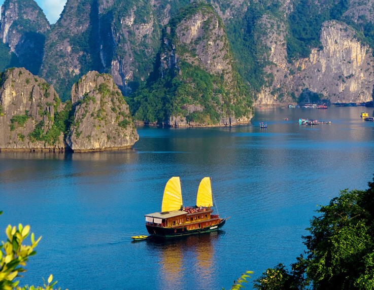 Valentine Cruise