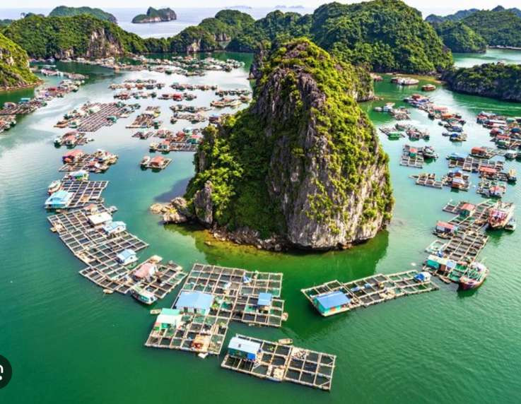Diana Halong Cruise