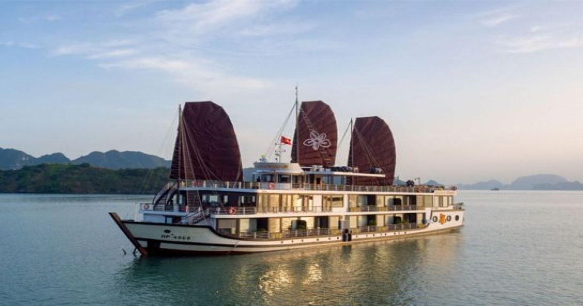 Azalea Cruise